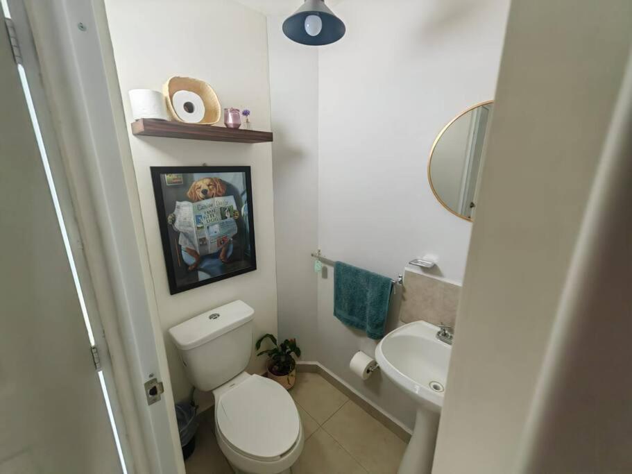 Casa Meraki ケレタロ エクステリア 写真